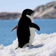 りかこ (お知らせ) 完熟ばなな梅田