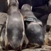 ヒメ日記 2026/03/24 10:07 投稿 りかこ 完熟ばなな梅田