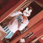 ヒメ日記 2025/03/24 21:36 投稿 ひな ZERO-i