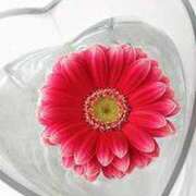 ヒメ日記 2025/05/27 08:55 投稿 ちなつ 待ちナビ