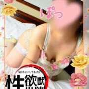 ヒメ日記 2024/12/07 09:07 投稿 えみこ 待ちナビ