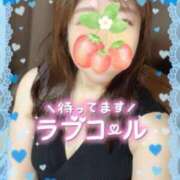 ヒメ日記 2025/03/18 10:35 投稿 えみこ 待ちナビ