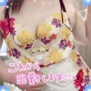 ヒメ日記 2025/03/31 08:37 投稿 えみこ 待ちナビ