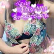 ヒメ日記 2025/03/31 16:15 投稿 えみこ 待ちナビ