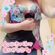 ヒメ日記 2025/04/02 16:55 投稿 えみこ 待ちナビ