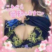 ヒメ日記 2025/04/03 08:25 投稿 えみこ 待ちナビ