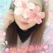 ヒメ日記 2025/04/03 10:08 投稿 えみこ 待ちナビ