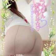 ヒメ日記 2025/07/11 09:35 投稿 えみこ 待ちナビ