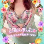 ヒメ日記 2025/07/11 10:25 投稿 えみこ 待ちナビ