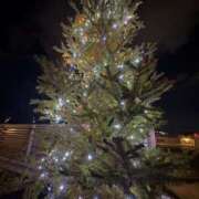 ヒメ日記 2024/12/17 22:26 投稿 吉瀬美智代 五十路マダム宇都宮店(カサブランカグループ)