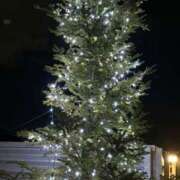 ヒメ日記 2024/12/20 18:20 投稿 吉瀬美智代 五十路マダム宇都宮店(カサブランカグループ)