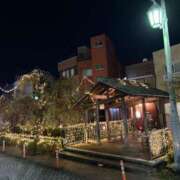 ヒメ日記 2024/12/25 18:32 投稿 吉瀬美智代 五十路マダム宇都宮店(カサブランカグループ)