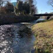 ヒメ日記 2024/12/26 11:40 投稿 吉瀬美智代 五十路マダム宇都宮店(カサブランカグループ)