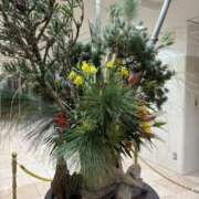 ヒメ日記 2025/01/07 18:04 投稿 吉瀬美智代 五十路マダム宇都宮店(カサブランカグループ)