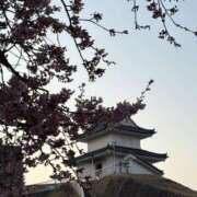 ヒメ日記 2025/03/22 11:02 投稿 吉瀬美智代 五十路マダム宇都宮店(カサブランカグループ)