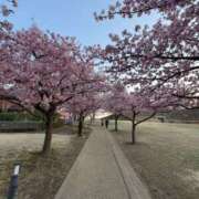 ヒメ日記 2025/03/22 13:10 投稿 吉瀬美智代 五十路マダム宇都宮店(カサブランカグループ)