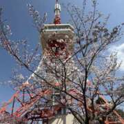 ヒメ日記 2025/04/08 11:36 投稿 吉瀬美智代 五十路マダム宇都宮店(カサブランカグループ)