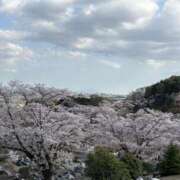 ヒメ日記 2025/04/12 19:16 投稿 吉瀬美智代 五十路マダム宇都宮店(カサブランカグループ)