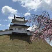 ヒメ日記 2025/04/14 12:08 投稿 吉瀬美智代 五十路マダム宇都宮店(カサブランカグループ)