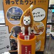 ヒメ日記 2025/04/22 11:38 投稿 吉瀬美智代 五十路マダム宇都宮店(カサブランカグループ)