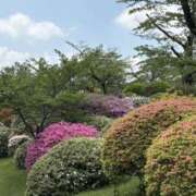 ヒメ日記 2025/05/23 11:16 投稿 吉瀬美智代 五十路マダム宇都宮店(カサブランカグループ)