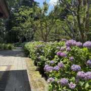 ヒメ日記 2025/06/18 13:46 投稿 吉瀬美智代 五十路マダム宇都宮店(カサブランカグループ)