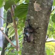 ヒメ日記 2025/07/21 11:34 投稿 吉瀬美智代 五十路マダム宇都宮店(カサブランカグループ)