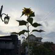 ヒメ日記 2025/08/27 11:32 投稿 吉瀬美智代 五十路マダム宇都宮店(カサブランカグループ)