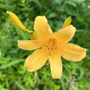 ヒメ日記 2025/09/10 18:48 投稿 吉瀬美智代 五十路マダム宇都宮店(カサブランカグループ)