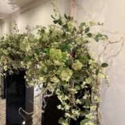 ヒメ日記 2025/10/03 11:30 投稿 吉瀬美智代 五十路マダム宇都宮店(カサブランカグループ)