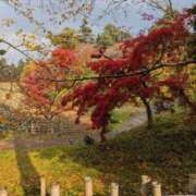 ヒメ日記 2025/11/07 11:36 投稿 吉瀬美智代 五十路マダム宇都宮店(カサブランカグループ)