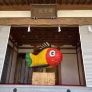 ヒメ日記 2025/11/08 11:36 投稿 吉瀬美智代 五十路マダム宇都宮店(カサブランカグループ)