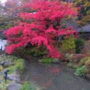 ヒメ日記 2025/11/10 11:32 投稿 吉瀬美智代 五十路マダム宇都宮店(カサブランカグループ)