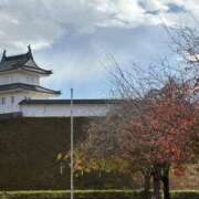 ヒメ日記 2025/11/17 11:36 投稿 吉瀬美智代 五十路マダム宇都宮店(カサブランカグループ)