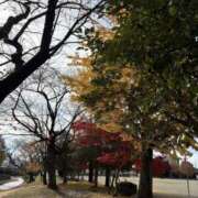 ヒメ日記 2025/11/25 12:06 投稿 吉瀬美智代 五十路マダム宇都宮店(カサブランカグループ)