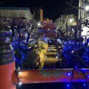 ヒメ日記 2025/11/28 11:32 投稿 吉瀬美智代 五十路マダム宇都宮店(カサブランカグループ)