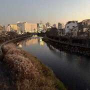 ヒメ日記 2025/12/12 12:12 投稿 吉瀬美智代 五十路マダム宇都宮店(カサブランカグループ)