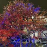 ヒメ日記 2025/12/17 17:12 投稿 吉瀬美智代 五十路マダム宇都宮店(カサブランカグループ)