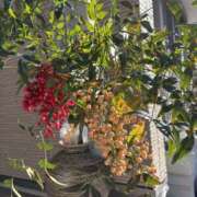 ヒメ日記 2026/01/09 11:30 投稿 吉瀬美智代 五十路マダム宇都宮店(カサブランカグループ)