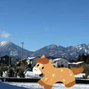 ヒメ日記 2026/01/14 11:36 投稿 吉瀬美智代 五十路マダム宇都宮店(カサブランカグループ)