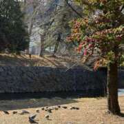 ヒメ日記 2026/01/21 11:42 投稿 吉瀬美智代 五十路マダム宇都宮店(カサブランカグループ)