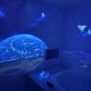 ヒメ日記 2026/01/23 18:50 投稿 吉瀬美智代 五十路マダム宇都宮店(カサブランカグループ)