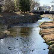 ヒメ日記 2026/02/05 11:44 投稿 吉瀬美智代 五十路マダム宇都宮店(カサブランカグループ)