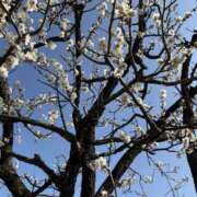 ヒメ日記 2026/02/27 18:52 投稿 吉瀬美智代 五十路マダム宇都宮店(カサブランカグループ)