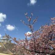 ヒメ日記 2026/03/16 11:46 投稿 吉瀬美智代 五十路マダム宇都宮店(カサブランカグループ)