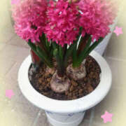 ヒメ日記 2026/03/19 11:58 投稿 吉瀬美智代 五十路マダム宇都宮店(カサブランカグループ)