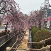 ヒメ日記 2026/03/26 11:42 投稿 吉瀬美智代 五十路マダム宇都宮店(カサブランカグループ)