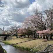 ヒメ日記 2026/03/27 11:40 投稿 吉瀬美智代 五十路マダム宇都宮店(カサブランカグループ)