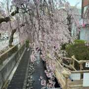 ヒメ日記 2026/04/04 12:32 投稿 吉瀬美智代 五十路マダム宇都宮店(カサブランカグループ)