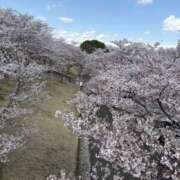 ヒメ日記 2026/04/06 17:58 投稿 吉瀬美智代 五十路マダム宇都宮店(カサブランカグループ)